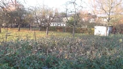 Amateur Outdoor German Grannies