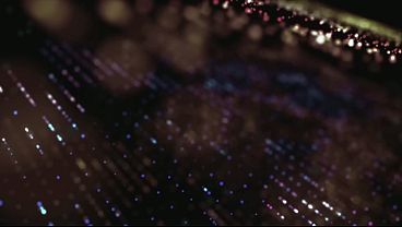 Candie and Alex around the world #5.3 Tenerife