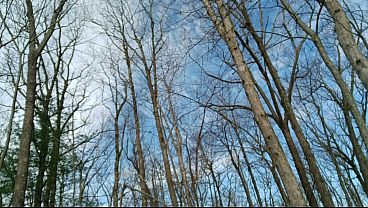 Sneaky outdoor jerkoff makes big cock cum twice!! Sprays big messy loads all over the place